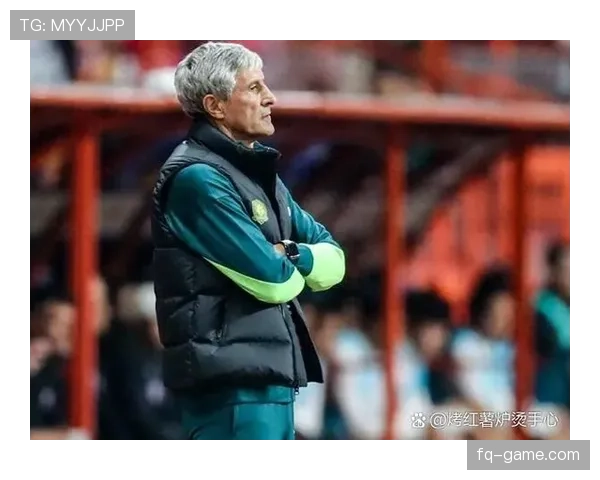 上海申花外援调整